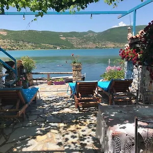 Rosa , Lin Albania